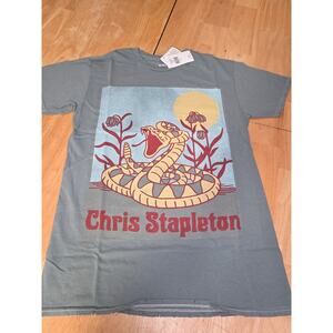 Chris Stapleton Snake Intentional Distressed Graphic T Gray Music Tee NWOT Small